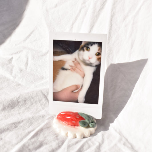 Strawberry Polaroid Holder